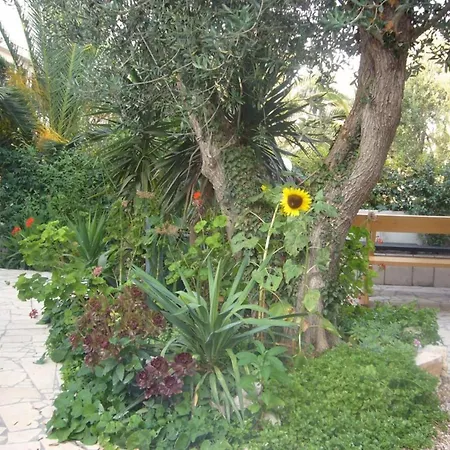 Antonio - Two Bedroom With Terrace B Apartment Orebic